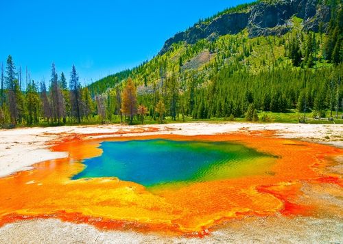 Yellowstone National Park